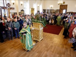 Неделя ваий